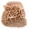 Desert Rose - 0