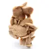 Desert Rose - 0