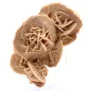 Desert Rose - 0