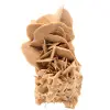 Desert Rose - 0