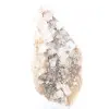 Rock salt crystals - 2