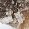 Rock salt crystals - 7