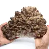Calcite Mariposa from Mexico, phantom calcite - 0