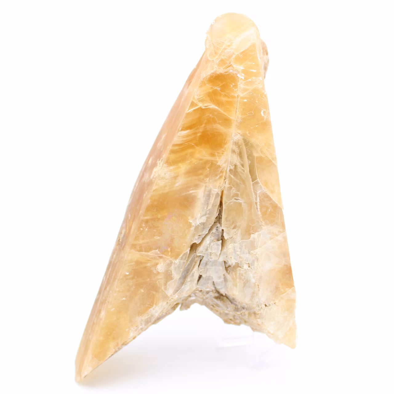 Large piece of spearhead gypsum