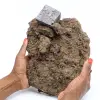 Large galena cube on ganges - 0