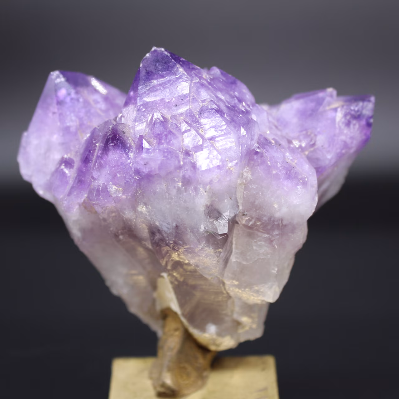 Amethyst crystals