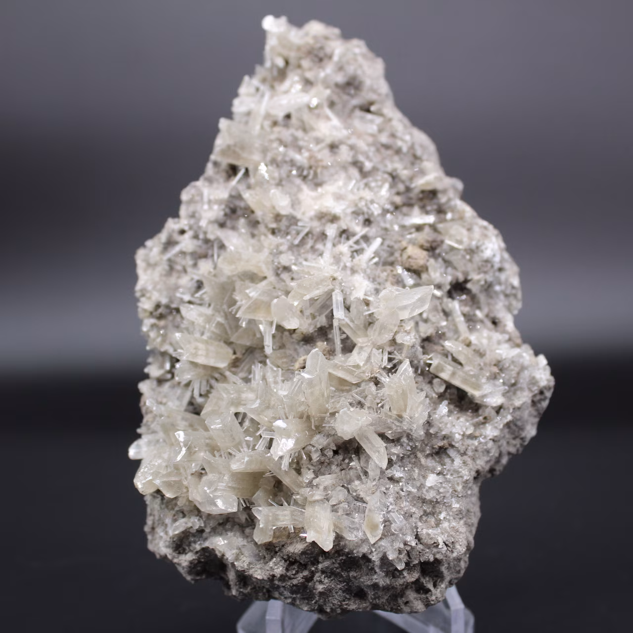 Selenite crystals on ganges