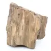 Arizona fossil wood block - 0