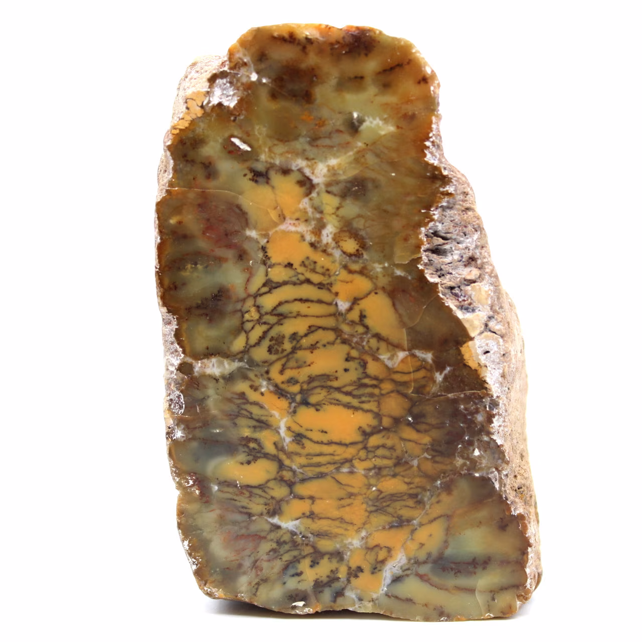 Opalized agate