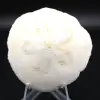 Scutella, fossil sea urchin - 0