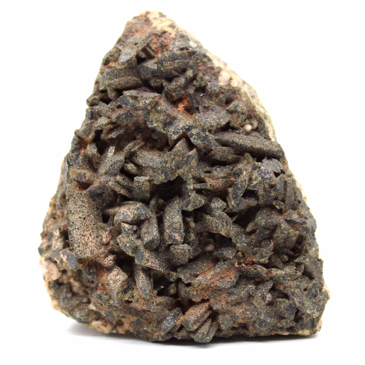 Staurotid of Brittany on ganges