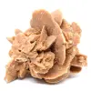 Desert Rose - 0