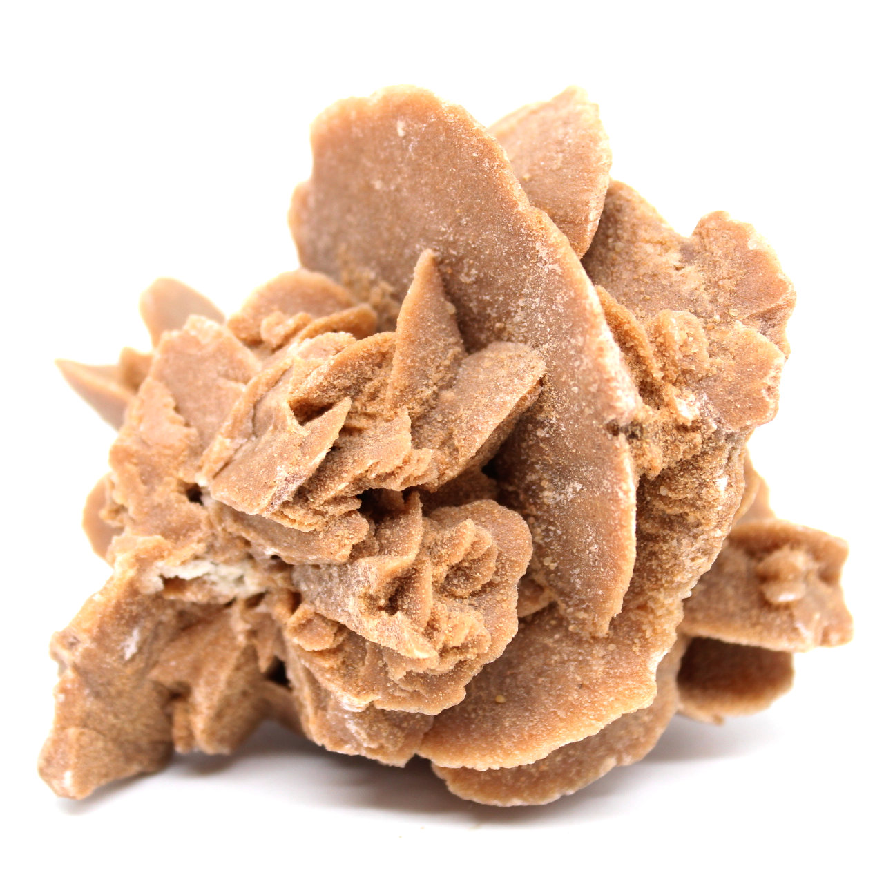 Desert Rose