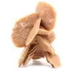 Desert Rose - 0