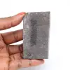Arles fern fossil - 0