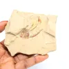 Fossilization of fish from Morocco - 0
