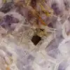 Amethyst free form - 5