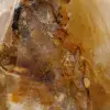 Yellow quartz ornamental stone from Madagascar - 5