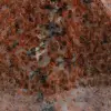 Decorative stone in orange Dolomite - 5