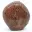 Orange Dolomite Free Form — 4