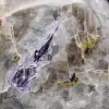 Decorative stone with Tourmaline inclusion - 5