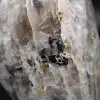 Decorative stone with Tourmaline inclusion - 6