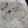 Ornamental stone with Tourmaline inclusion - 7