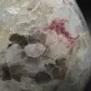 Ornamental stone with Tourmaline inclusion - 8