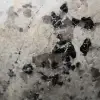 Polished natural tourmaline inclusion block - 5