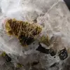 Collection natural tourmaline inclusions - 8