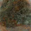 Chrysoprase ornamental stone from Madagascar - 5