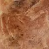 Polished pink microline moonstone from Madagascar - 5