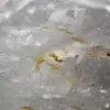Freeform rock crystal quartz - 5