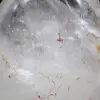 Quartz rock crystal ornamental stone from Madagascar - 5
