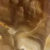 Calcite stone honey from Madagascar - 5