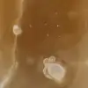 Polished natural honey calcite - 5