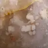 Natural flower agate - 6
