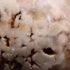 Polished flower agate from Madagascar - 5