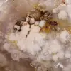 Decoration flower agate - 5