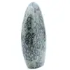 Natural kambamba jasper - 4
