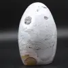 Polished natural polychrome jasper block - 0