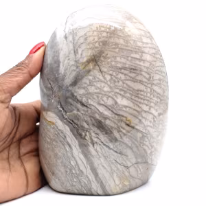Polished Natural Gray Ribboned Jasper Block
