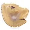 Brazilian agate slice - 0