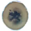 Blue agate slice - 0