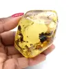 Amber pebble - 0