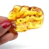Amber - 0