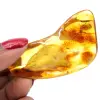 Polished amber stone - 0