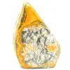 Polished bumblebee jasper - 0