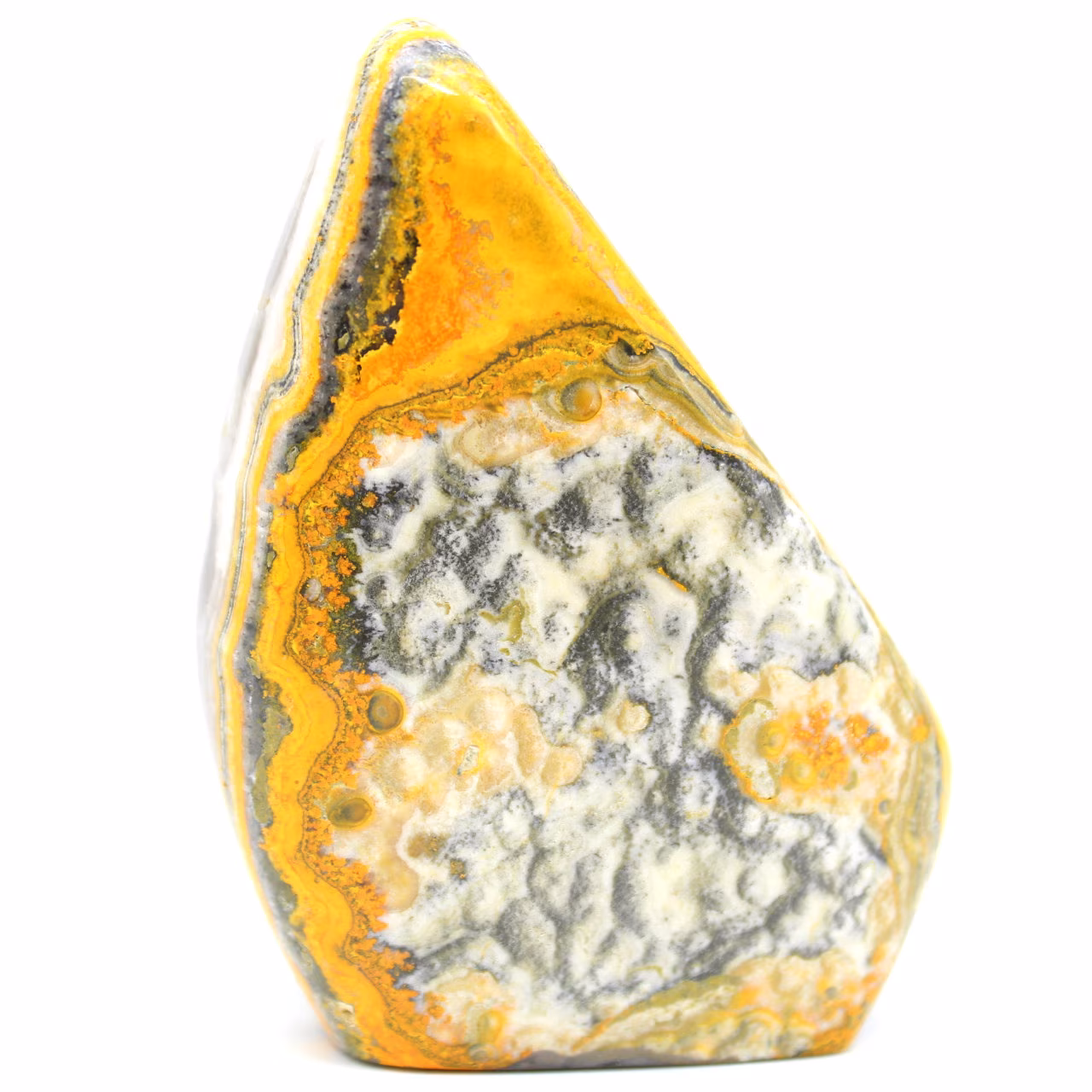 Polished bumblebee jasper