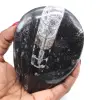Polished fossil orthoceras - 0
